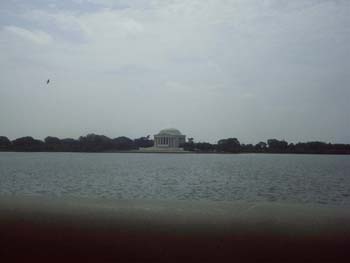 IMAG0047