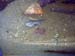IMAG0053