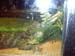 IMAG0054