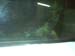IMAG0068