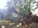 IMAG0069