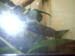 IMAG0070
