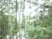 IMAG0079