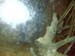 IMAG0085