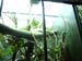 IMAG0086