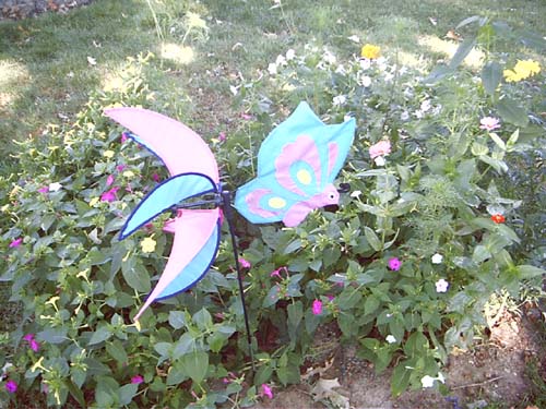 Butterfly garden in full bloom