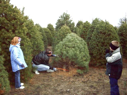 2003_11_30 032 Allison Dave and Corte -Timber!