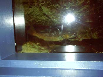 IMAG0052
