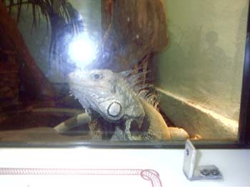 IMAG0062