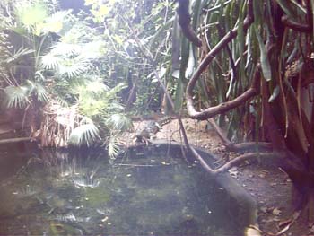 IMAG0064