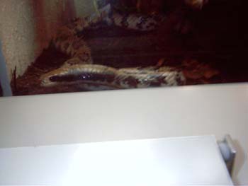 IMAG0067