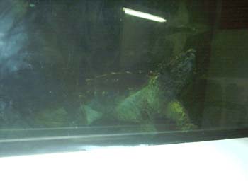 IMAG0068