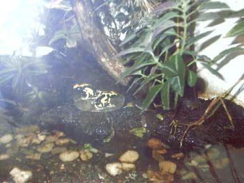 IMAG0069