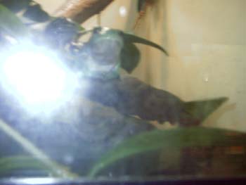 IMAG0070