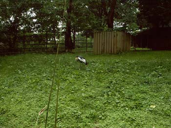 IMAG0082
