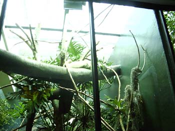 IMAG0086