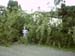 Fallen Tree at Joel's with Allison