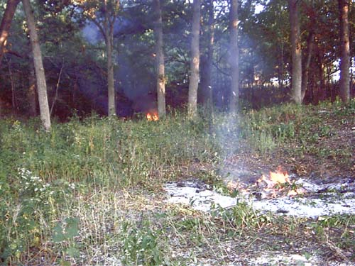 2003_09_14 Burning the lot