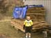 1. Corte and the Woodpile