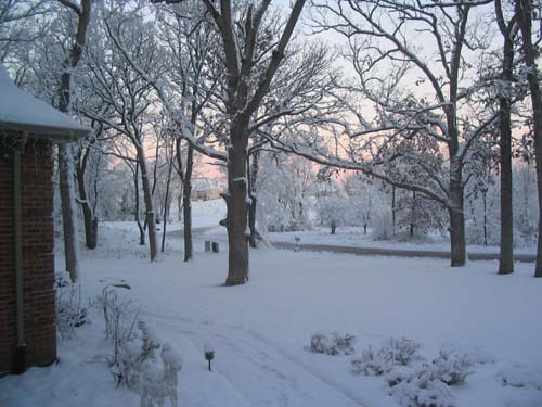 2004_12_01 012 2nd Snowfall out the Front