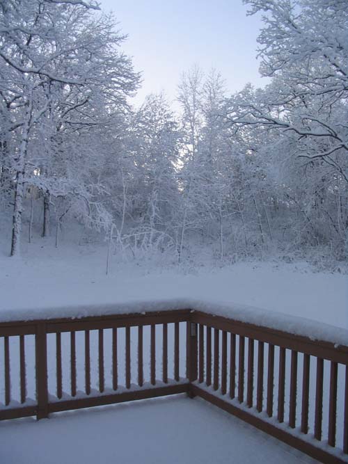 2004_12_01 015 Snow on the Trees off the Deck