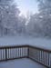 2004_12_01 015 Snow on the Trees off the Deck