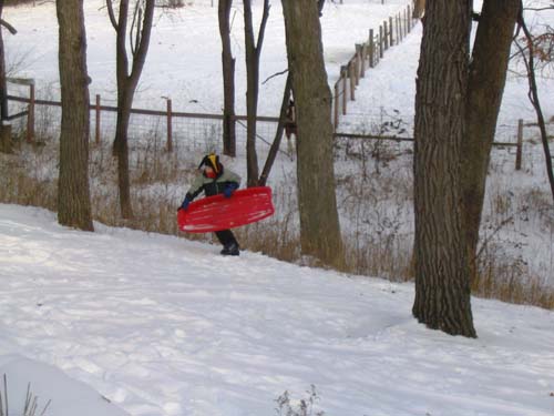 2004_01_31 015 Corte Sledding
