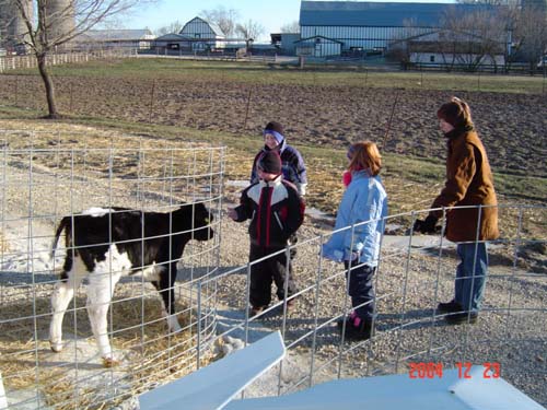 Corte, Mason Allison and Wendi Meet the Calf